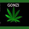 Gonzi